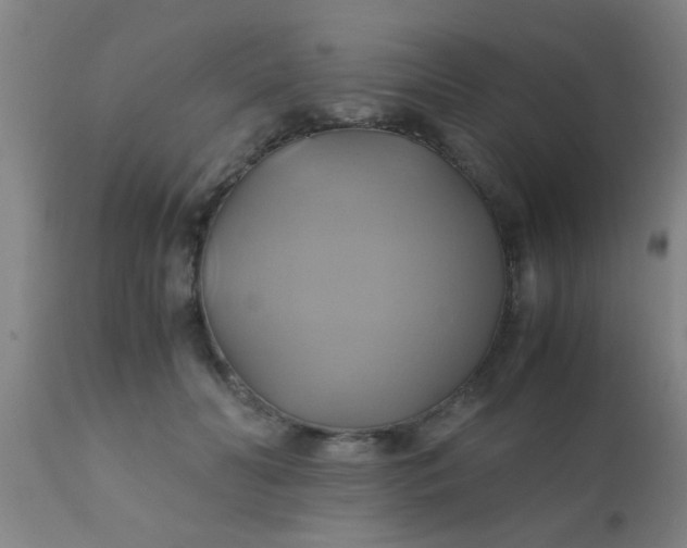 X0000110970606200907022246