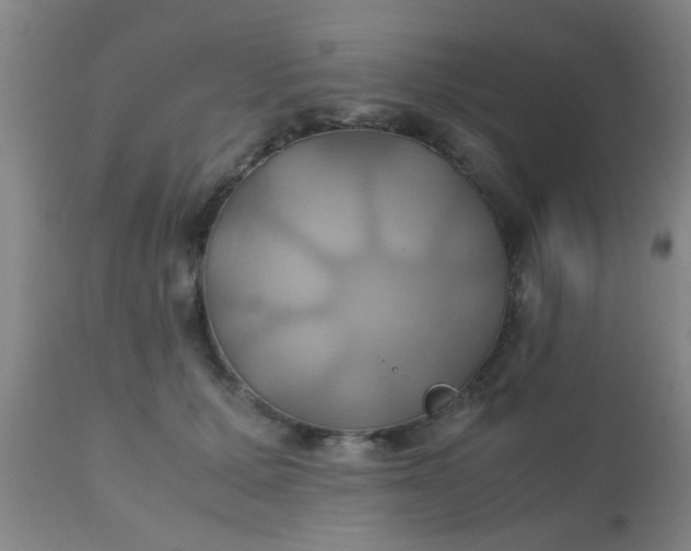 X0000110970607200907022246