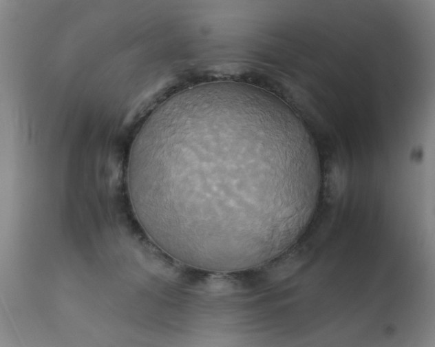 X0000110970608200907022246