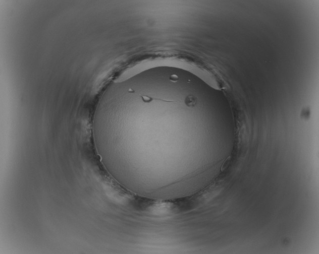 X0000110970609200907022246