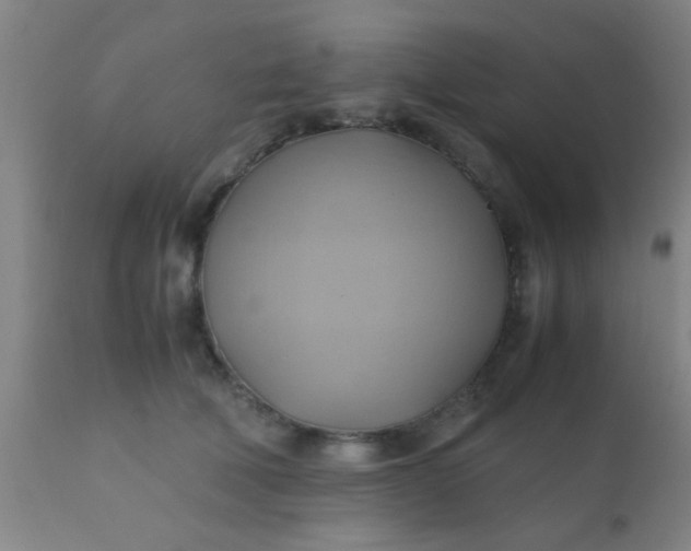 X0000110970610200907022246