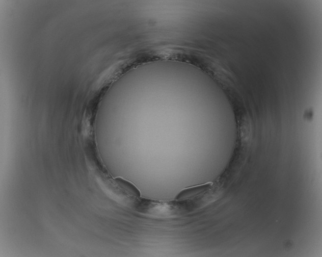 X0000110970611200907022246