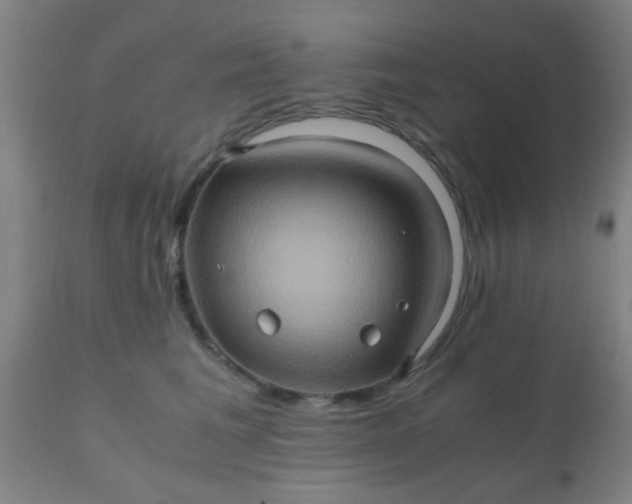 X0000110970613200907022246