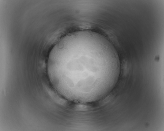 X0000110970614200907022246