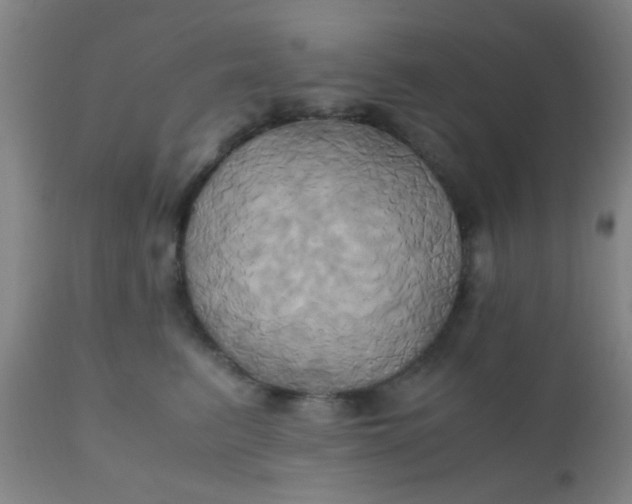 X0000110970615200907022246