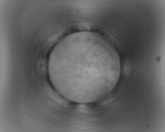 X0000110970616200907022246