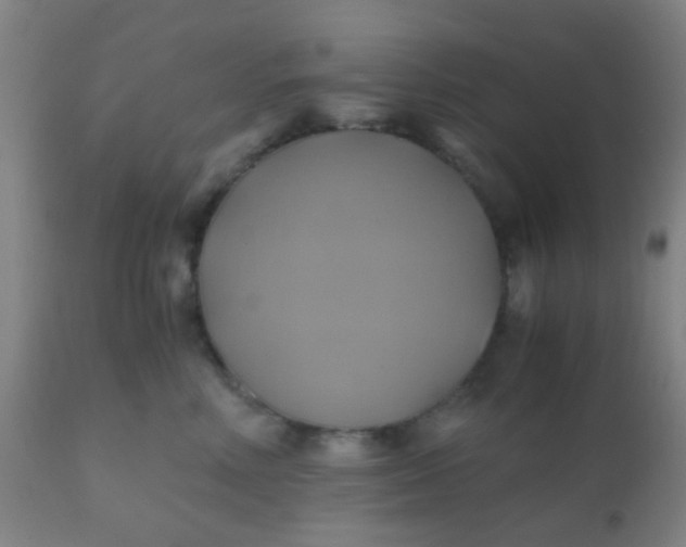 X0000110970618200907022246