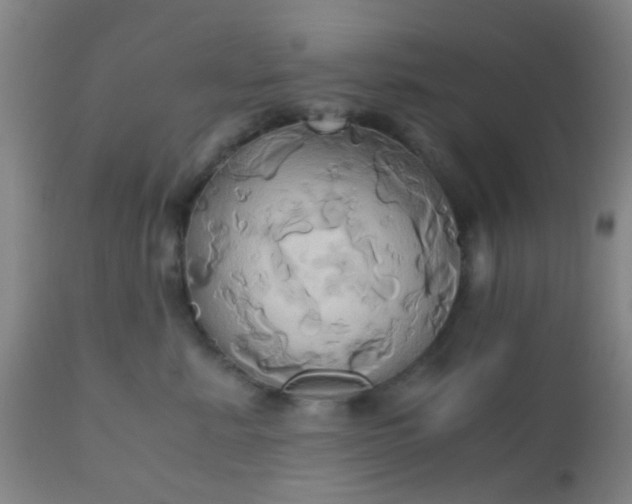 X0000110970619200907022246