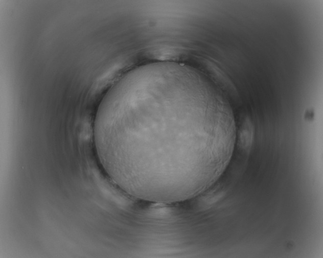 X0000110970620200907022246