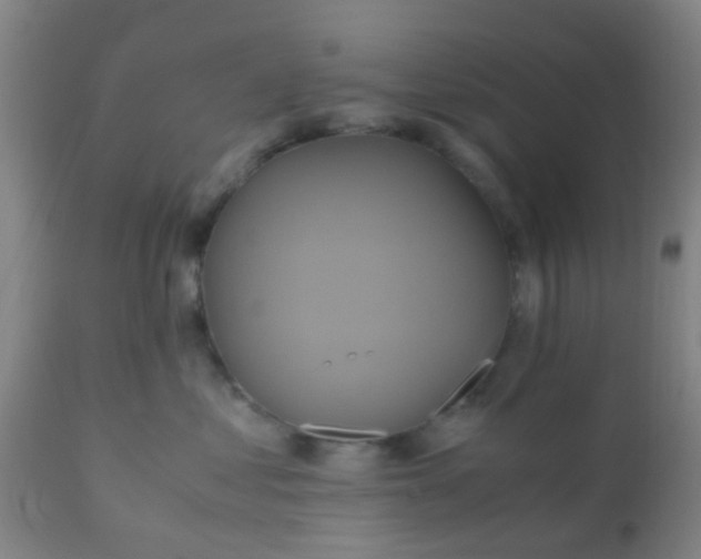 X0000110970621200907022246