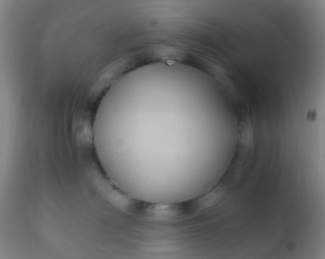 X0000110970622200907022246