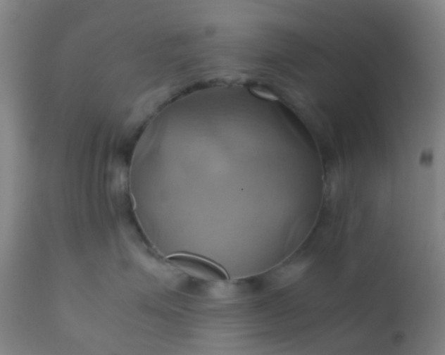 X0000110970623200907022246