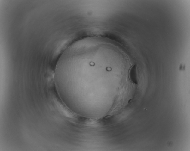 X0000110970624200907022246