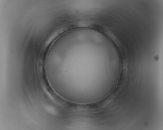 X0000110970626200907022245