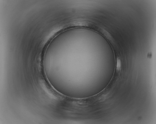 X0000110970627200907022245