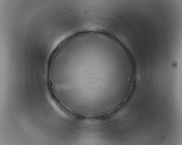 X0000110970630200907022245