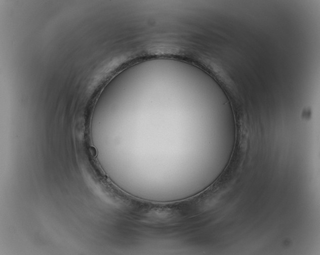 X0000110970631200907022245