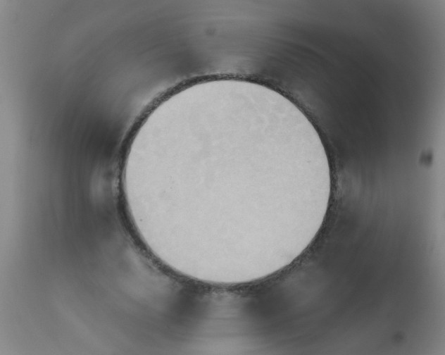 X0000110970632200907022245