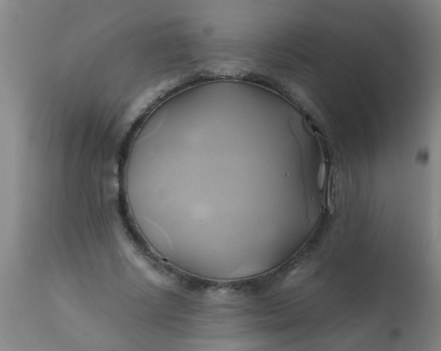 X0000110970634200907022245