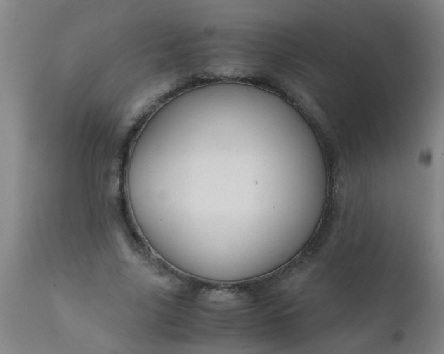 X0000110970635200907022245