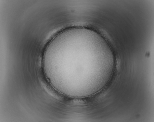 X0000110970636200907022245