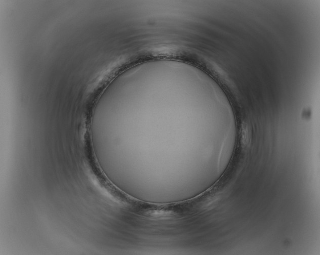 X0000110970637200907022245