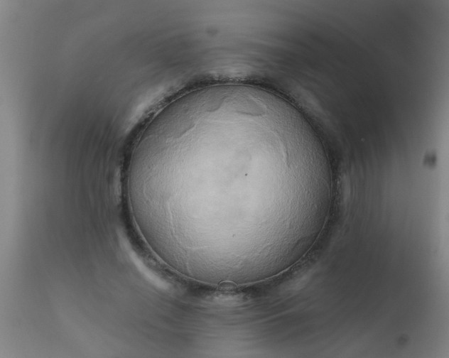 X0000110970638200907022245