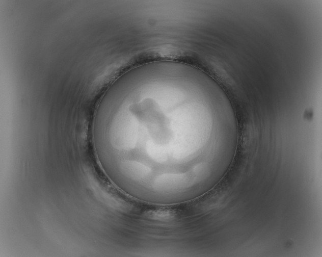 X0000110970639200907022245