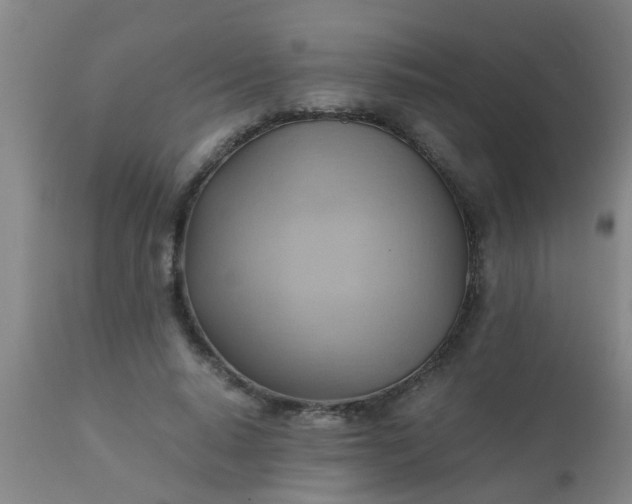 X0000110970640200907022246