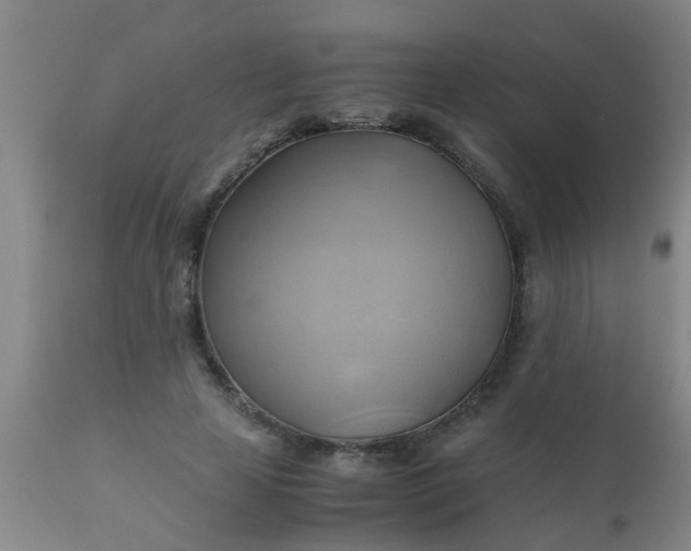 X0000110970641200907022246