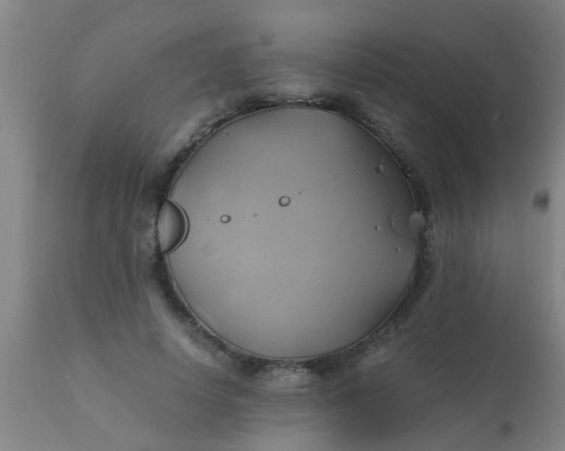 X0000110970642200907022246