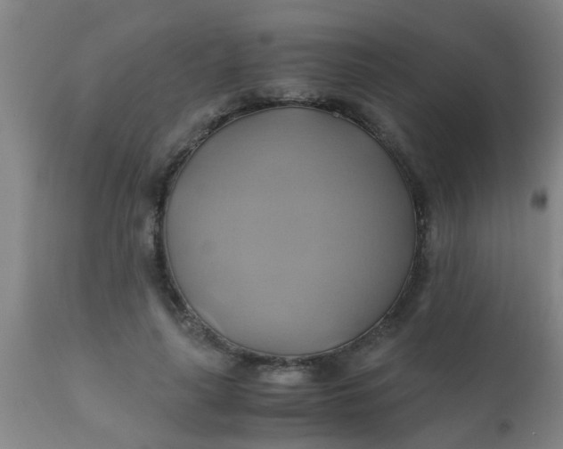 X0000110970643200907022246