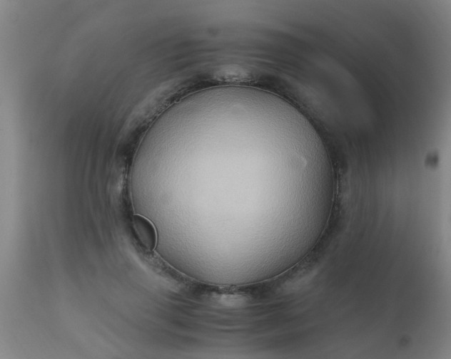 X0000110970645200907022246