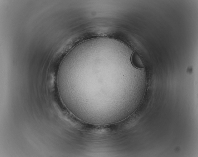 X0000110970646200907022246