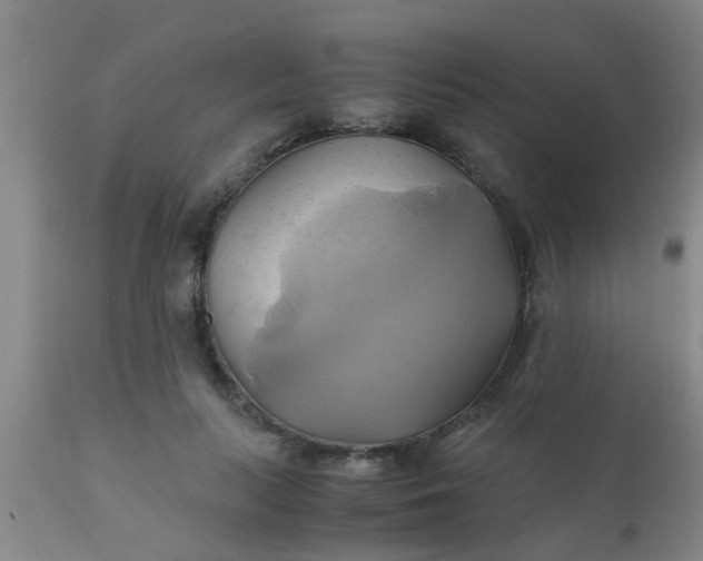 X0000110970647200907022246