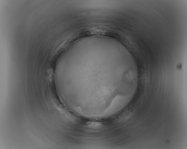 X0000110970649200907022246