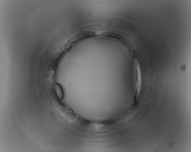 X0000110970650200907022246