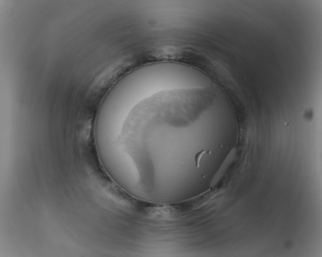 X0000110970652200907022246