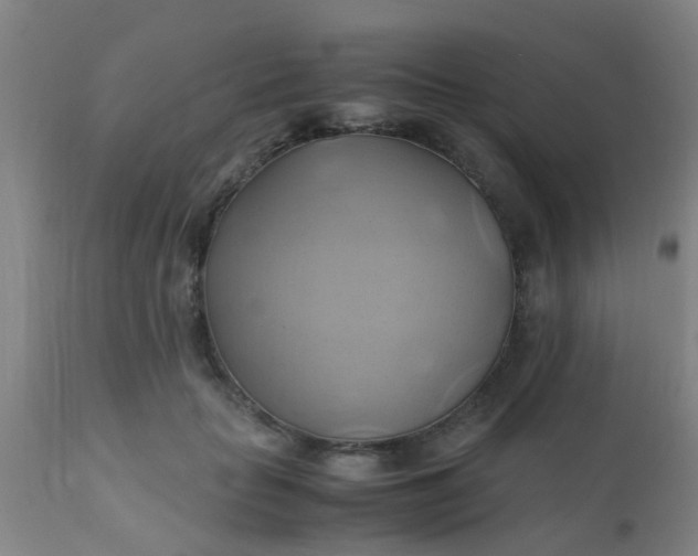 X0000110970653200907022246