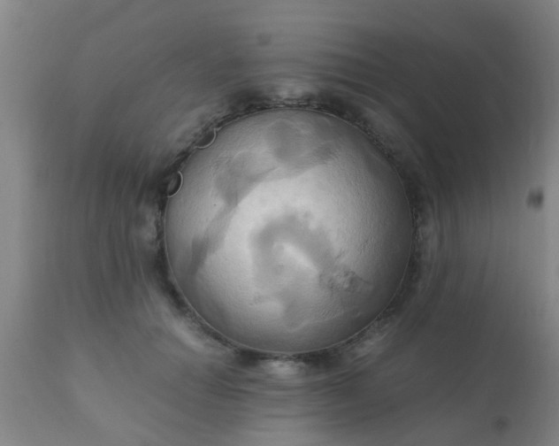 X0000110970654200907022246