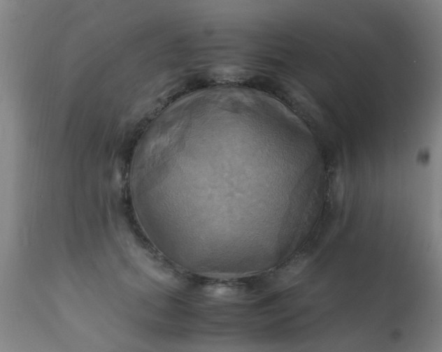 X0000110970655200907022246