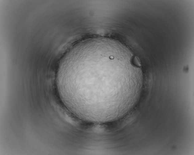 X0000110970656200907022246