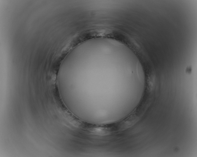 X0000110970657200907022246