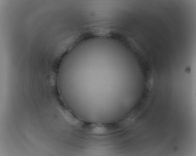 X0000110970658200907022246