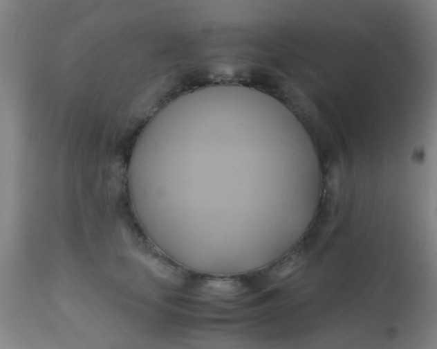 X0000110970659200907022246