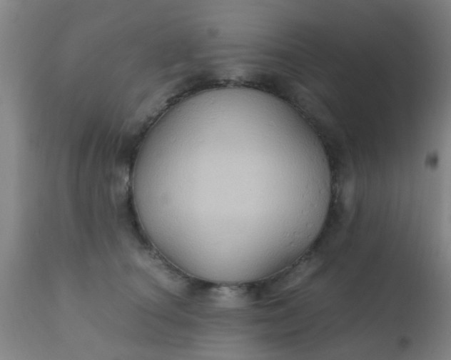 X0000110970660200907022246