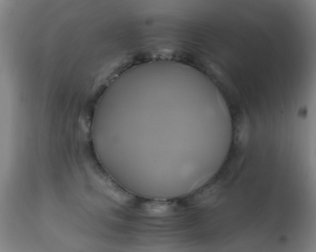 X0000110970661200907022246