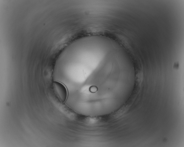 X0000110970662200907022246