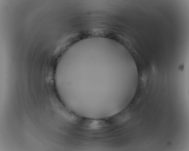 X0000110970663200907022246