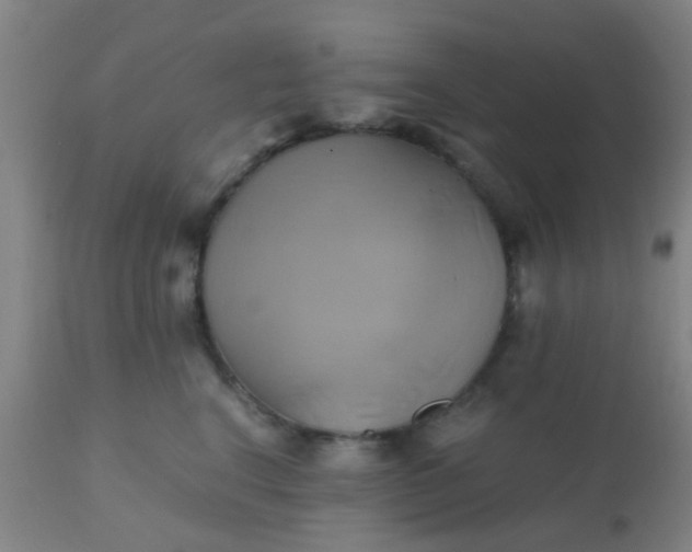 X0000110970664200907022246